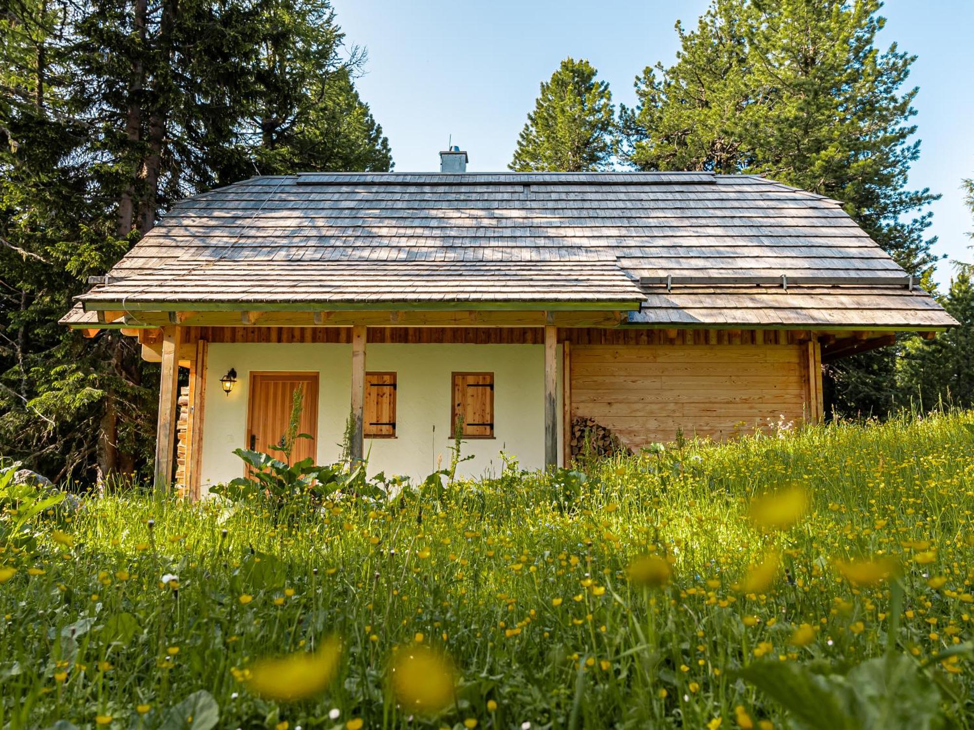 Alpin-Huetten Auf Der Turracherhoehe Haus Murmeltier By S4Y Turracher Hohe 외부 사진